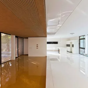 Amir Villa