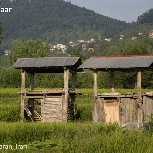 Nefaar