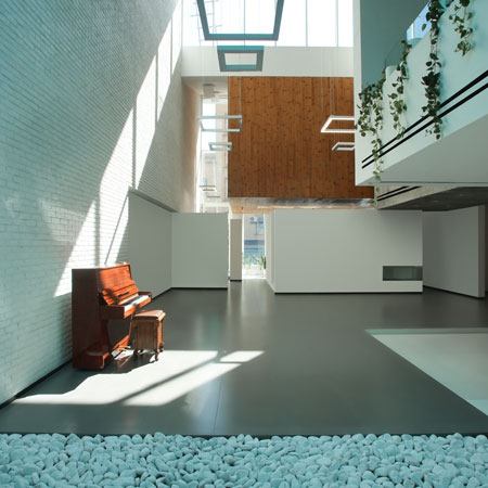 Shenasi House